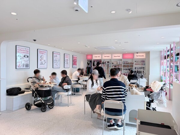 스타필드 수원 디어테일, 수원시 첫 '반려동물 동반출입 영업장' 승인 - 뉴스 썸네일 이미지